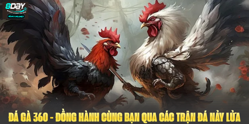 Đá gà 360 - Đồng Hành Cùng Bạn Qua Các Trận Đá Nảy Lửa