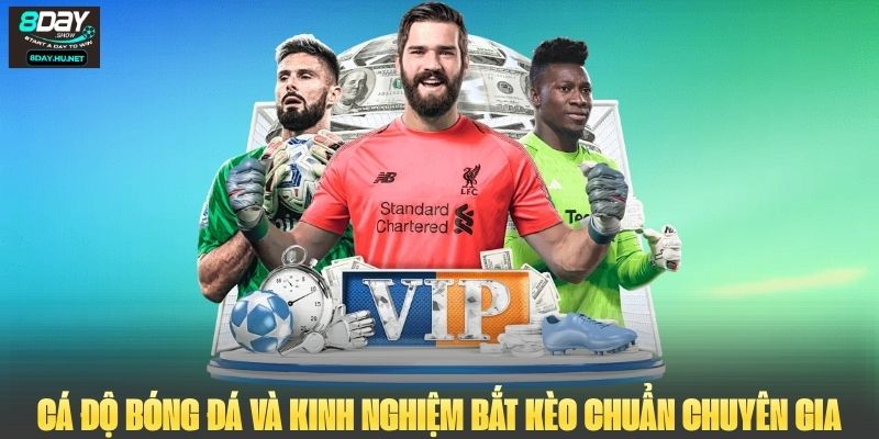 Cá Độ Bóng Đá Và Kinh Nghiệm Bắt Kèo Chuẩn Chuyên Gia