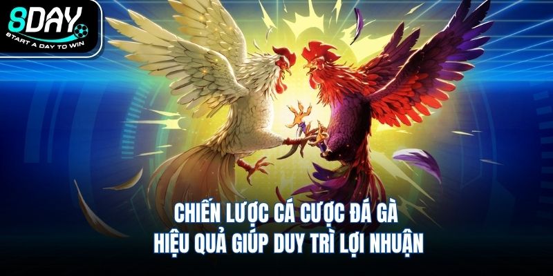 Chiến lược cá cược đá gà hiệu quả giúp duy trì lợi nhuận