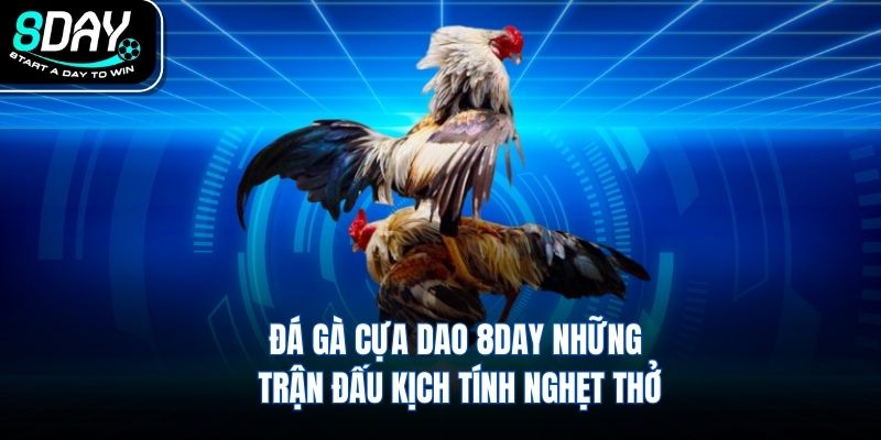 Đá Gà Cựa Dao 8DAY Những Trận Đấu Kịch Tính Nghẹt Thở