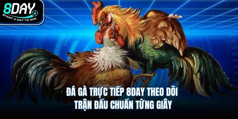 Đá Gà Trực Tiếp 8DAY Theo Dõi Trận Đấu Chuẩn Từng Giây